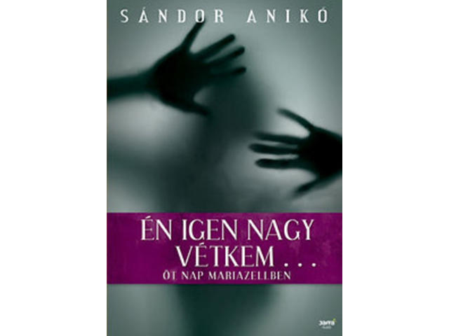 Sándor Anikó: Én igen nagy vétkem