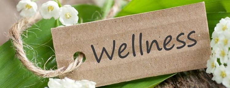 Wellness_logo